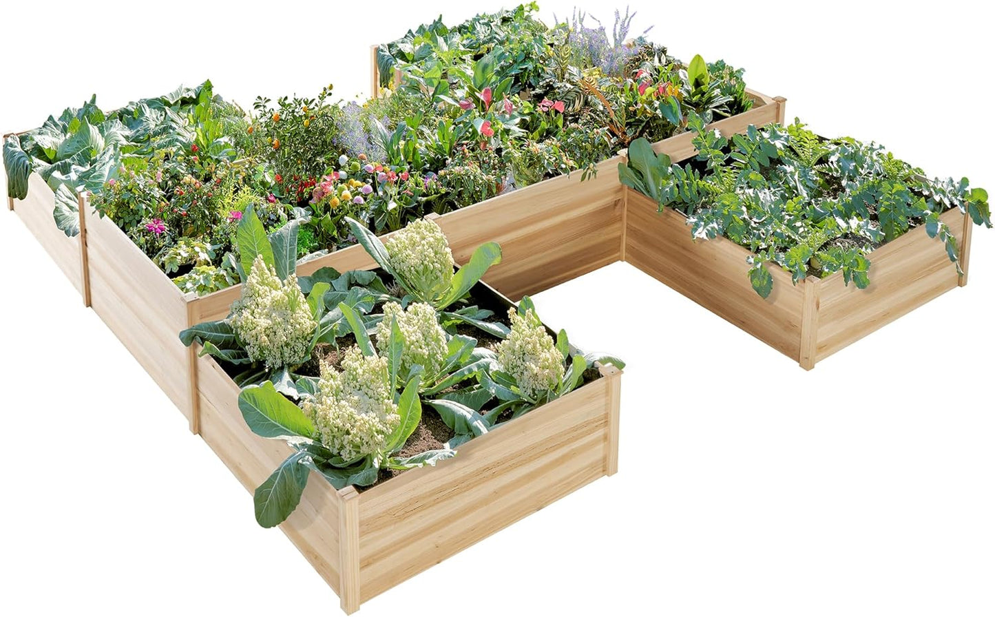 LUXOAK Raised Garden Planter - 12x12x2 ft H-Shaped Wooden Garden Bed, 180 cu. ft Capacity, Wooden Planter Box with Double Layer Design for Outdoor Patio & Garden
