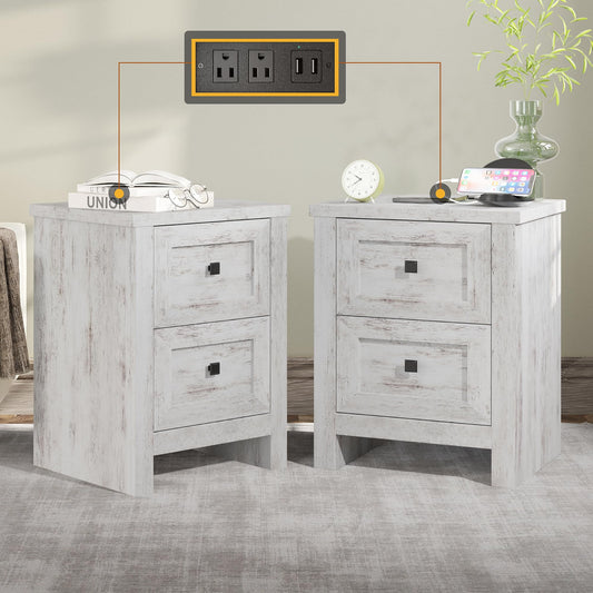 Papajet 24" Nightstand Set of 2 with Charging Station, Wood End Table with 2 Drawers for Bedroom